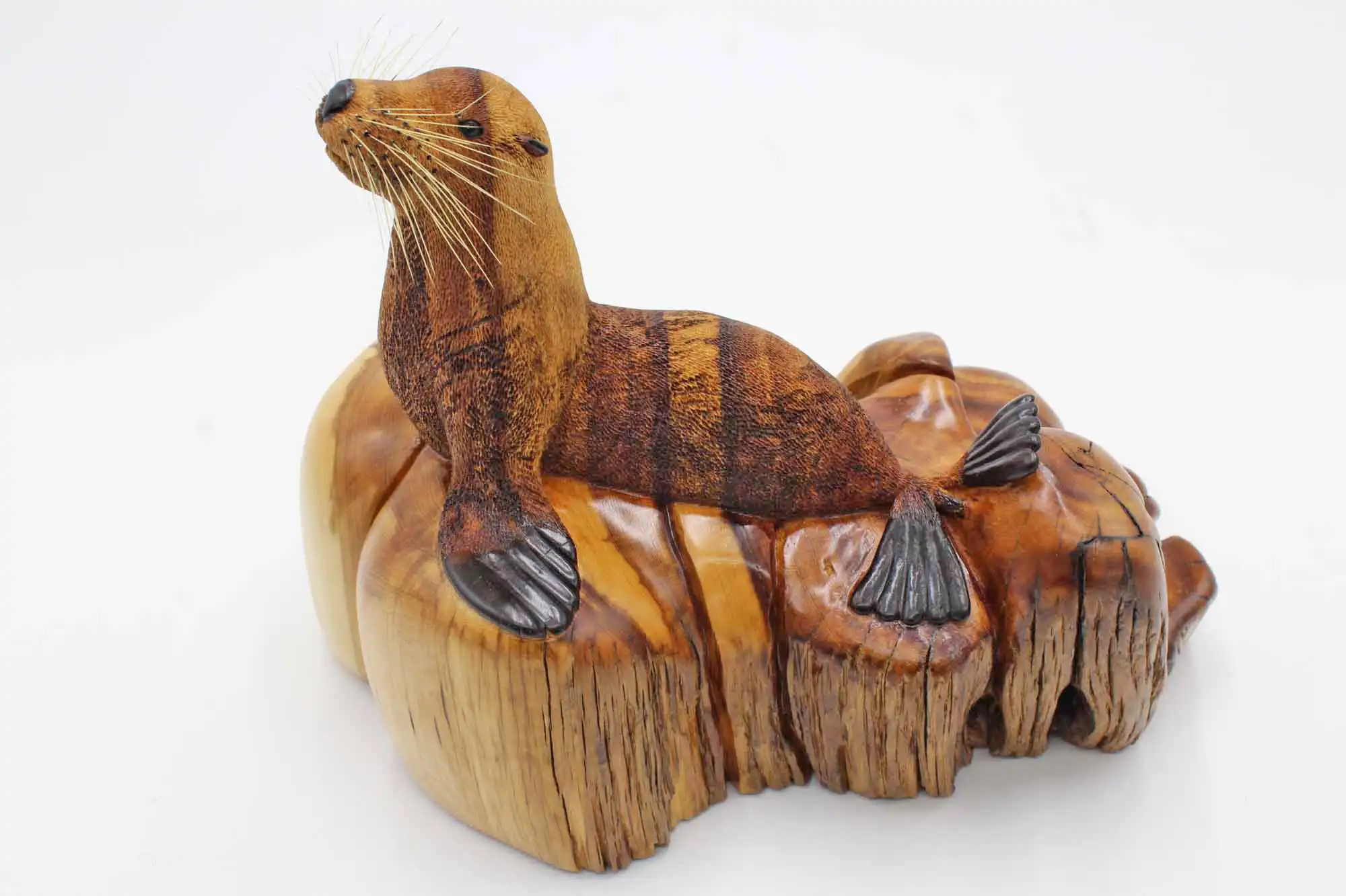 Spelted Sea Lion woodcarving sculpture